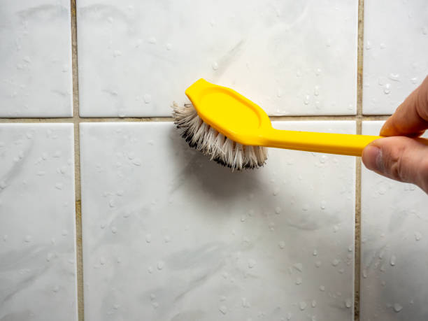 Best Residential Mold Remediation in Elmer, NJ