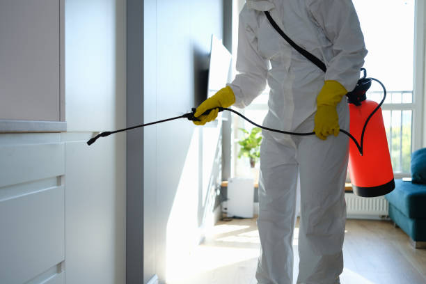 Professional Mold Remediation in Elmer, NJ
