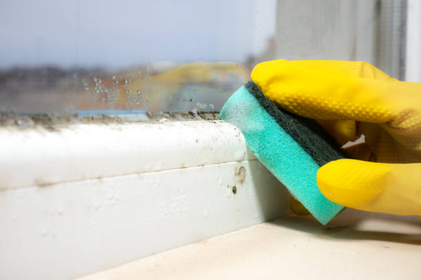 Best HVAC Mold Remediation in Elmer, NJ
