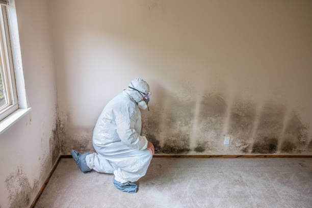 Best HVAC Mold Remediation in Elmer, NJ